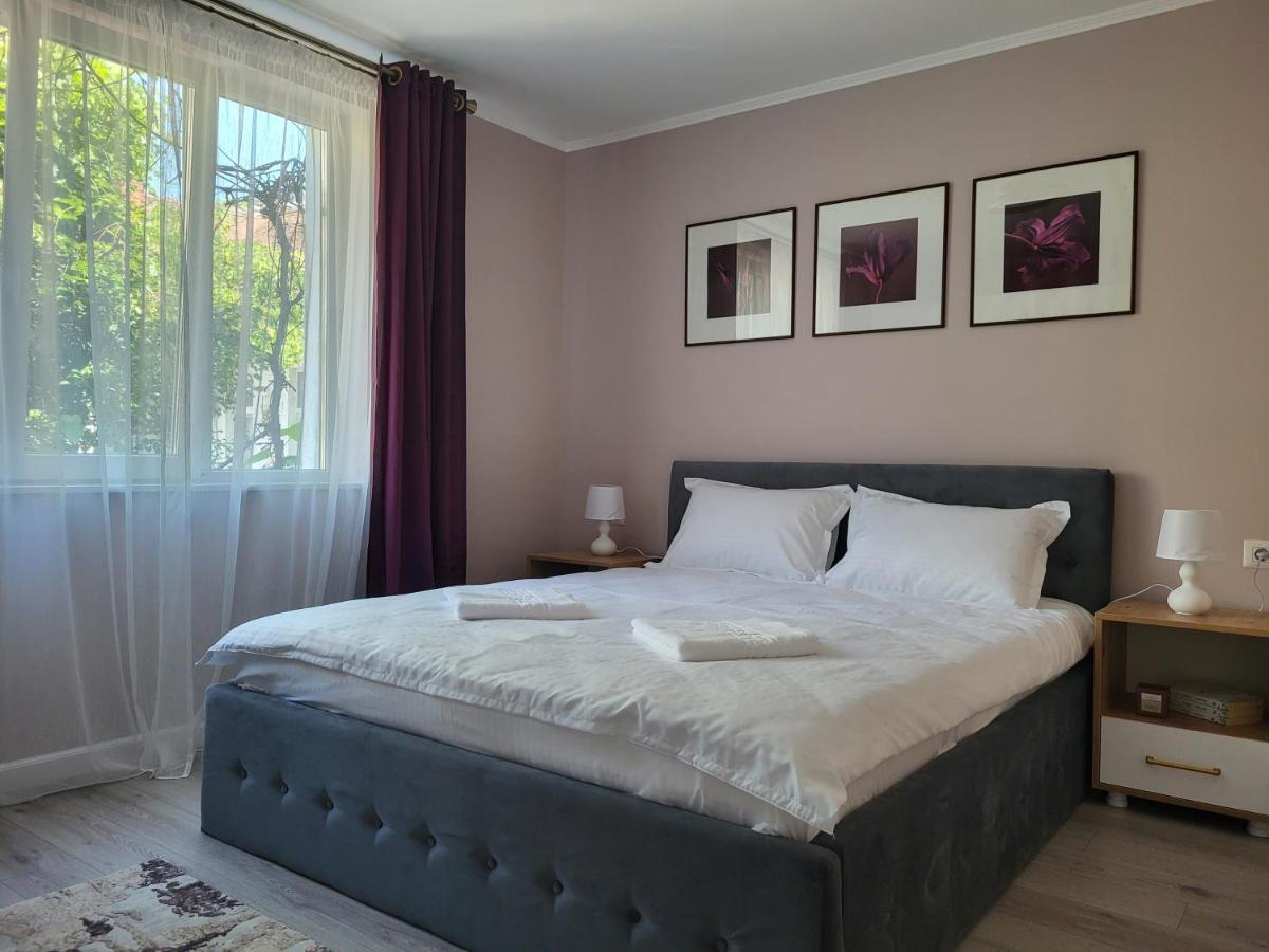 Pandora Central Apartment Cluj-Napoca Ngoại thất bức ảnh