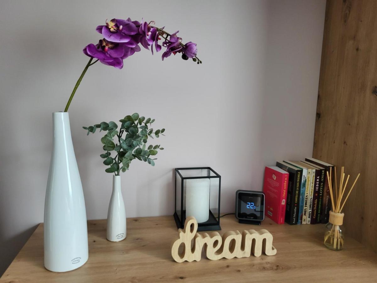 Pandora Central Apartment Cluj-Napoca Ngoại thất bức ảnh